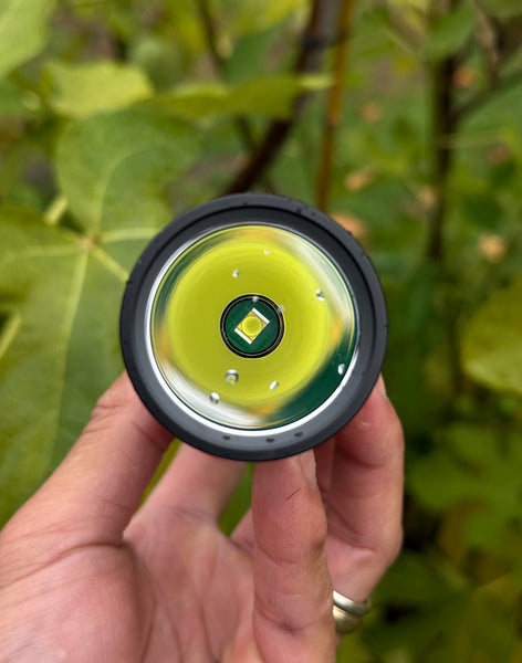 ONE-OFF Weltool F8Rvn100 Fiat Lux