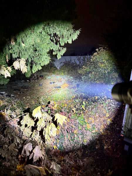 ONE-OFF Weltool F8Rvn100 Fiat Lux