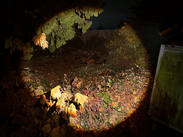 ONE-OFF Sky Lumen MaxZ Ultra Warm Zoomie