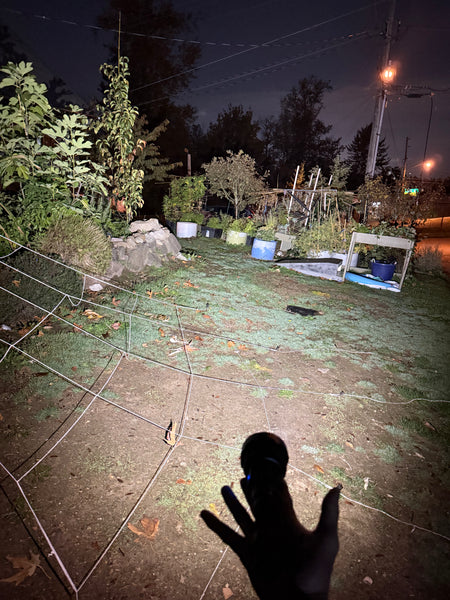 ONE-OFF Nitecore P40vn LEP Thrower Dual Beam