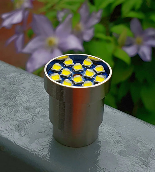 P60vn 12 LED HCRI Mule